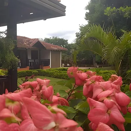 Eco - Hotel San Miguel Barichara Campestre - Arte Y Cafe Exterior photo