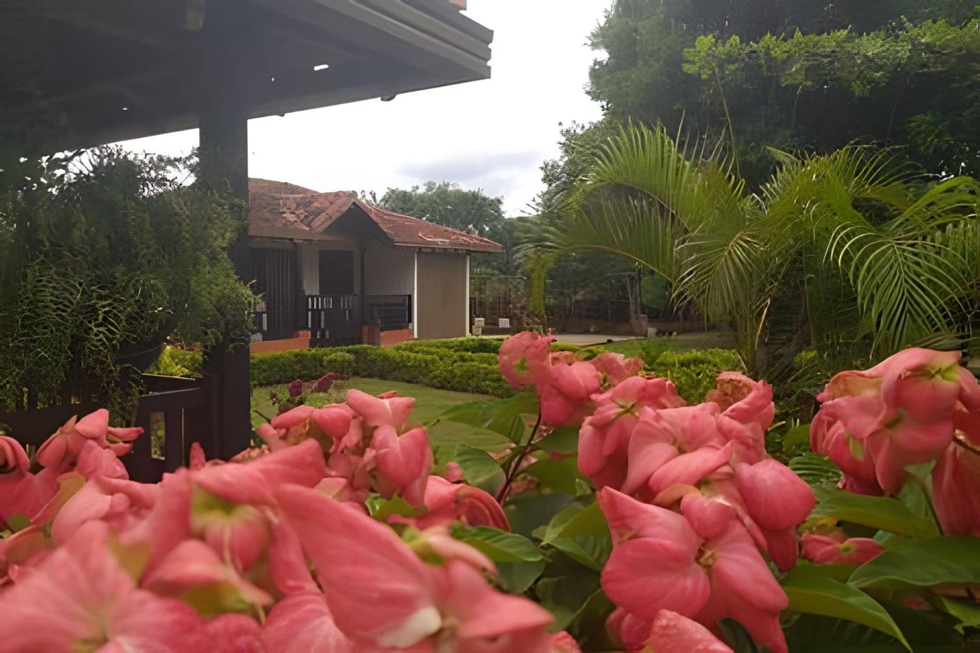 Eco - San Miguel Campestre - Arte Y Cafe